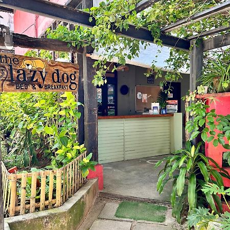 Lazy Dog Bed & Breakfast Balabag  Екстер'єр фото