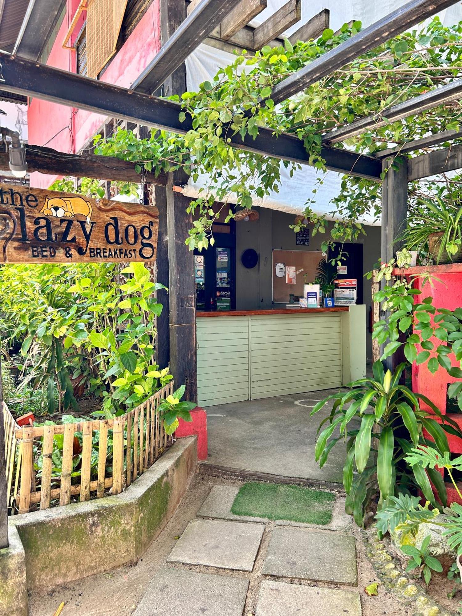 Lazy Dog Bed & Breakfast Balabag  Екстер'єр фото