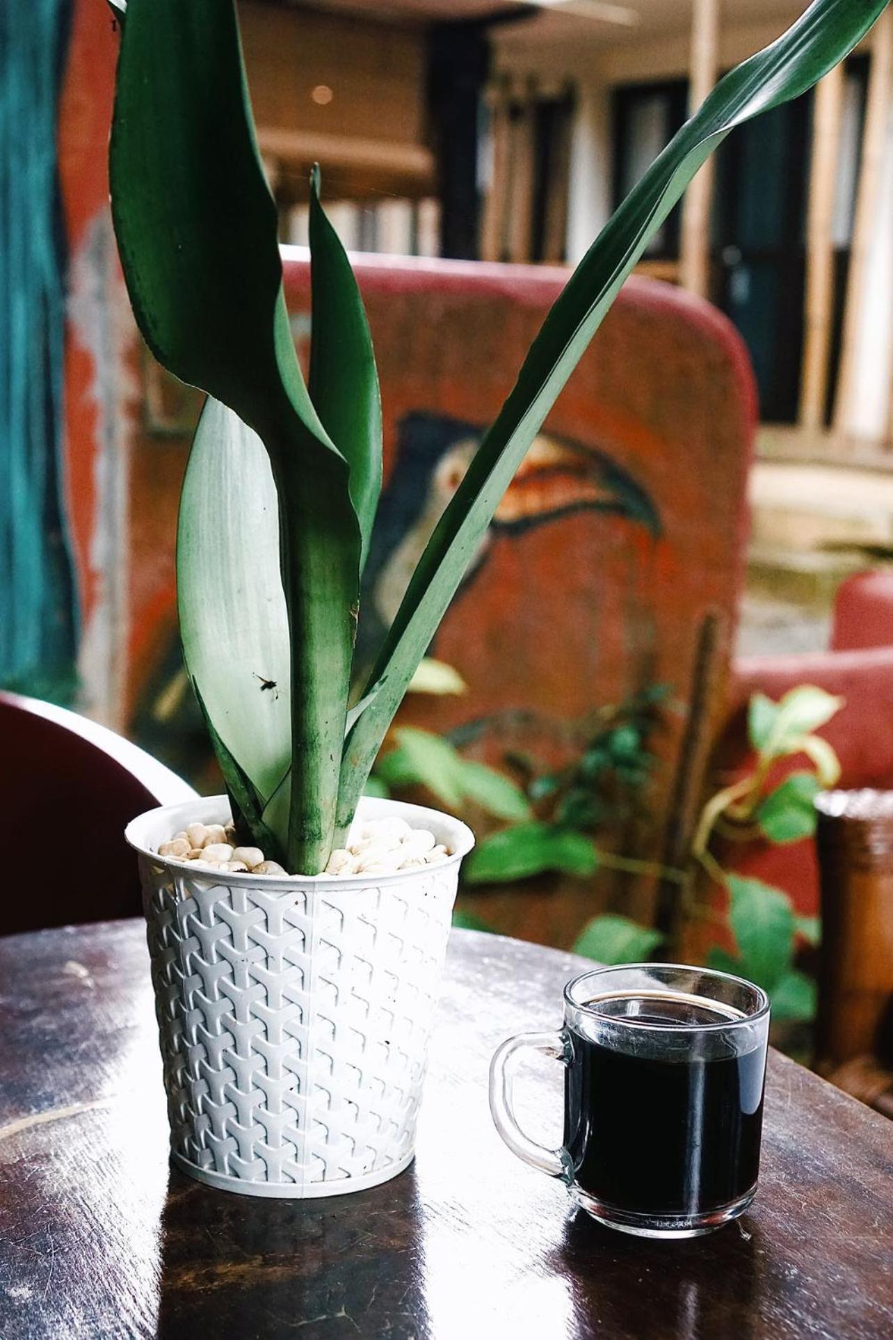 Lazy Dog Bed & Breakfast Balabag  Екстер'єр фото