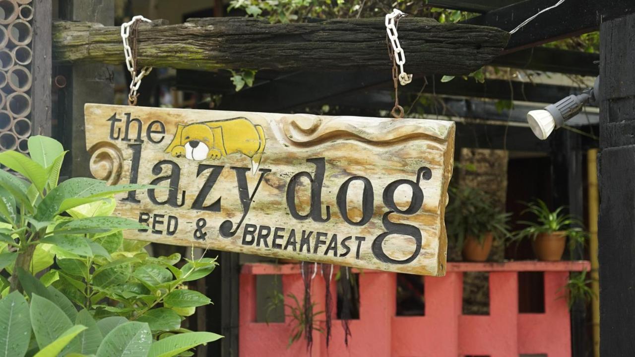 Lazy Dog Bed & Breakfast Balabag  Екстер'єр фото